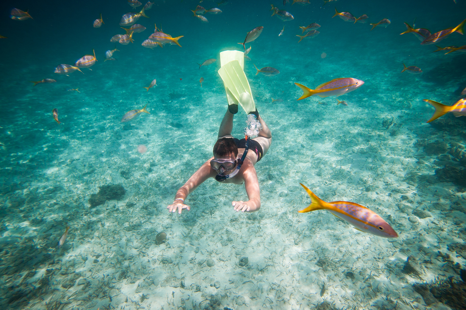 Dünyanın En İyi 5 Dalış Noktası