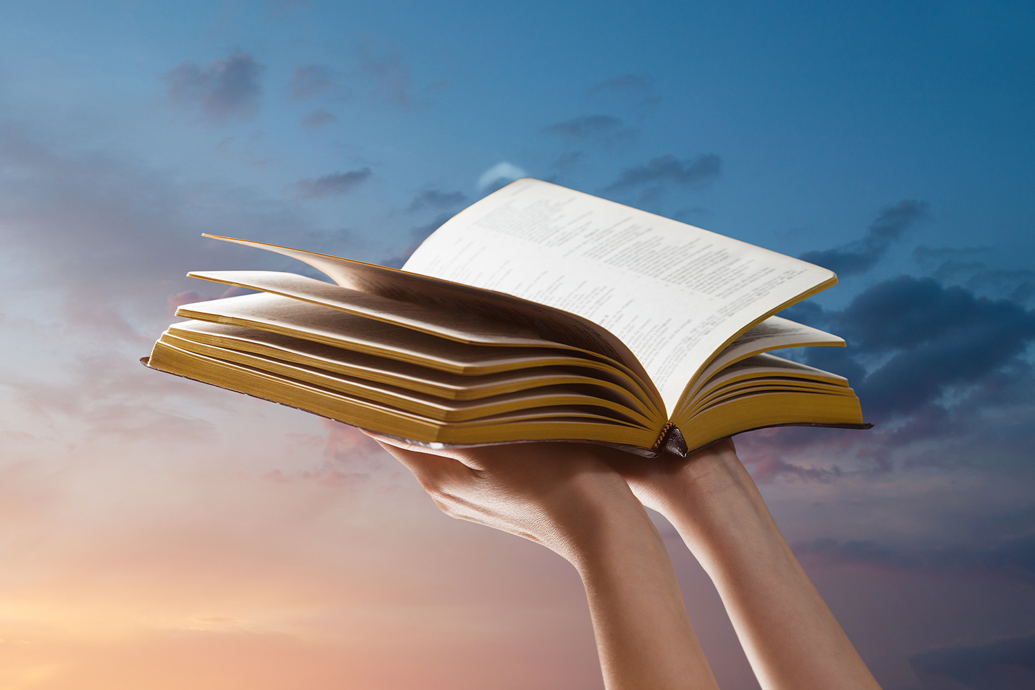 Okumanız Gereken Kitaplar: Muhteşem Eserler