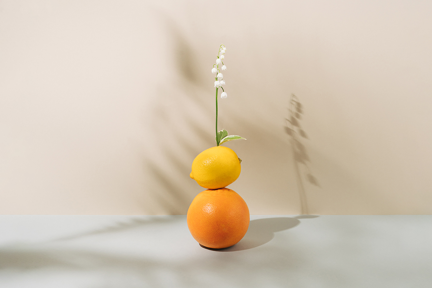 Minimalist Yaşam: Daha Az İle Daha Fazlasını Yapmak