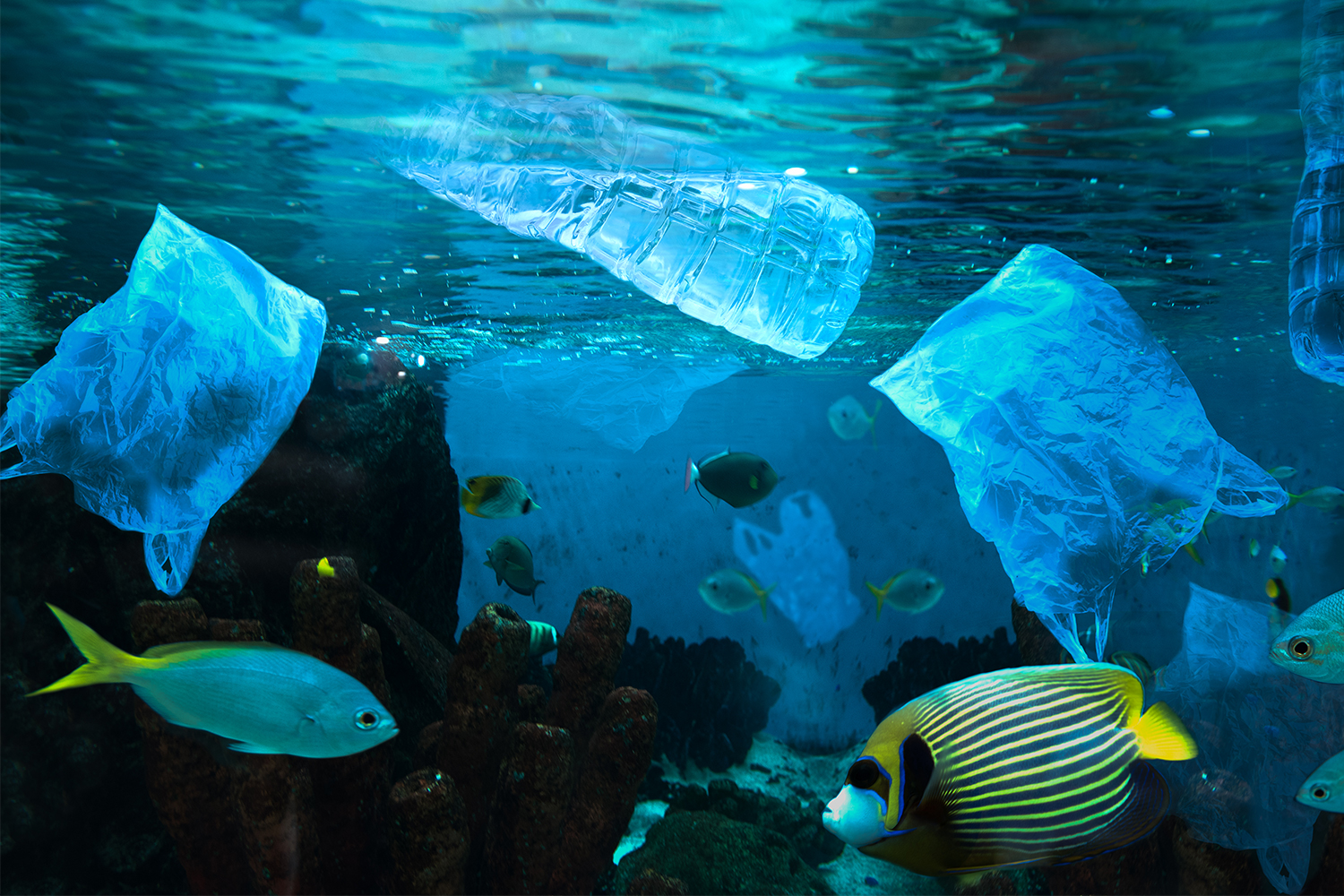 Mikroplastik Kirliliği: Okyanuslarımızı ve Sağlığımızı Nasıl Etkiliyor?