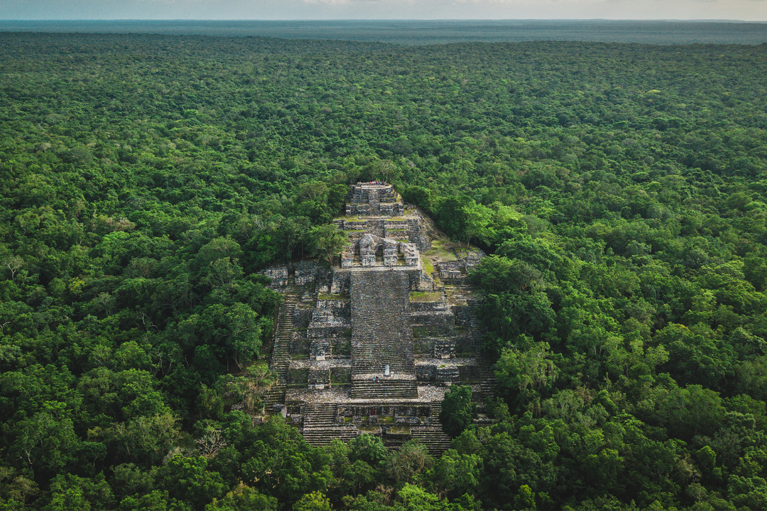 Tarihi Keşif: Amazon Ormanlarında Gizlenmiş Devasa Maya Şehri