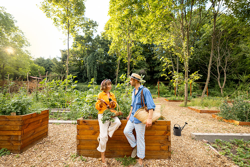 Sürdürülebilir Yaşam İçin Basit Adımlar