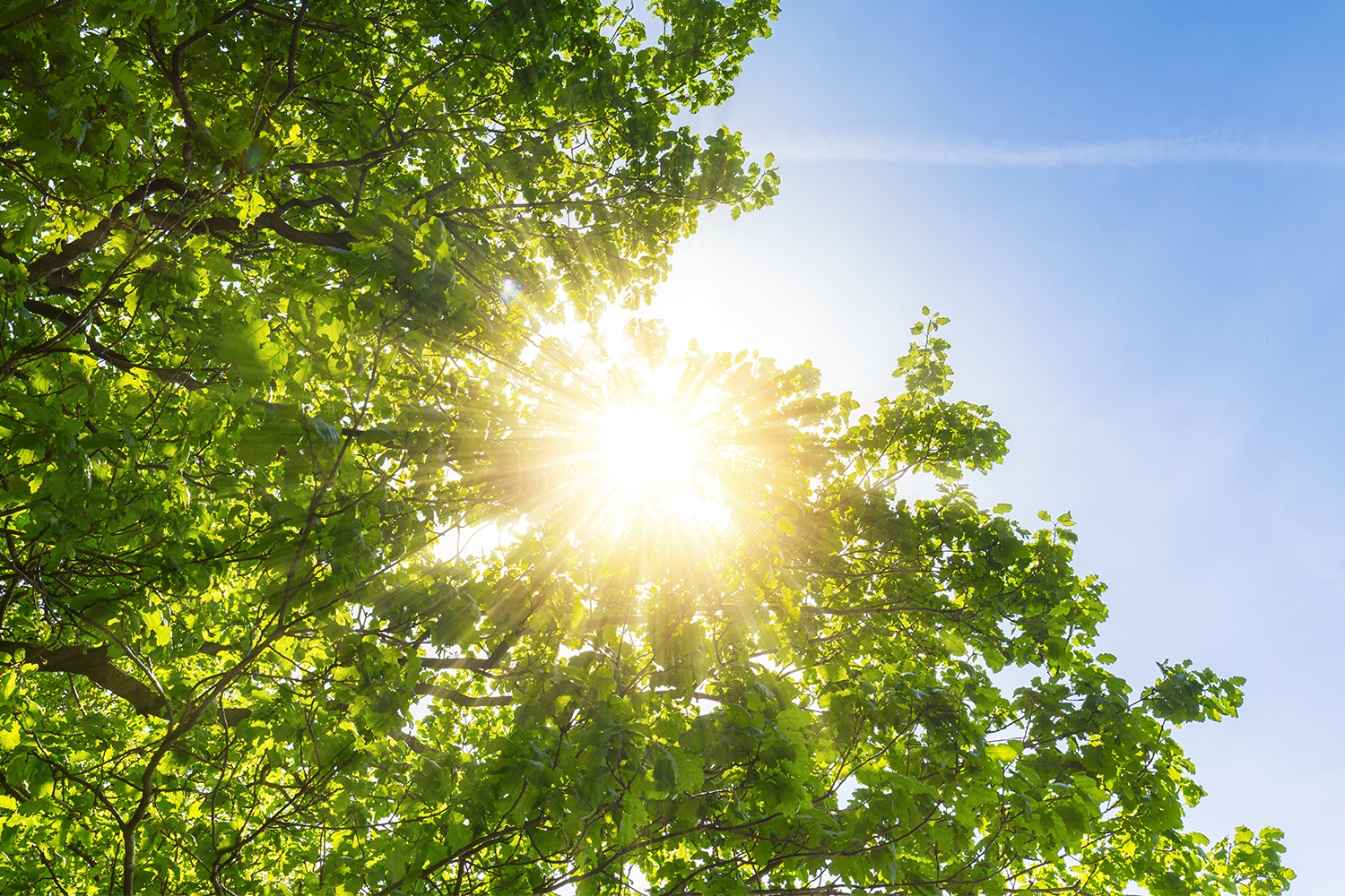3 Temmuz: Tarihin En Sıcak Günü