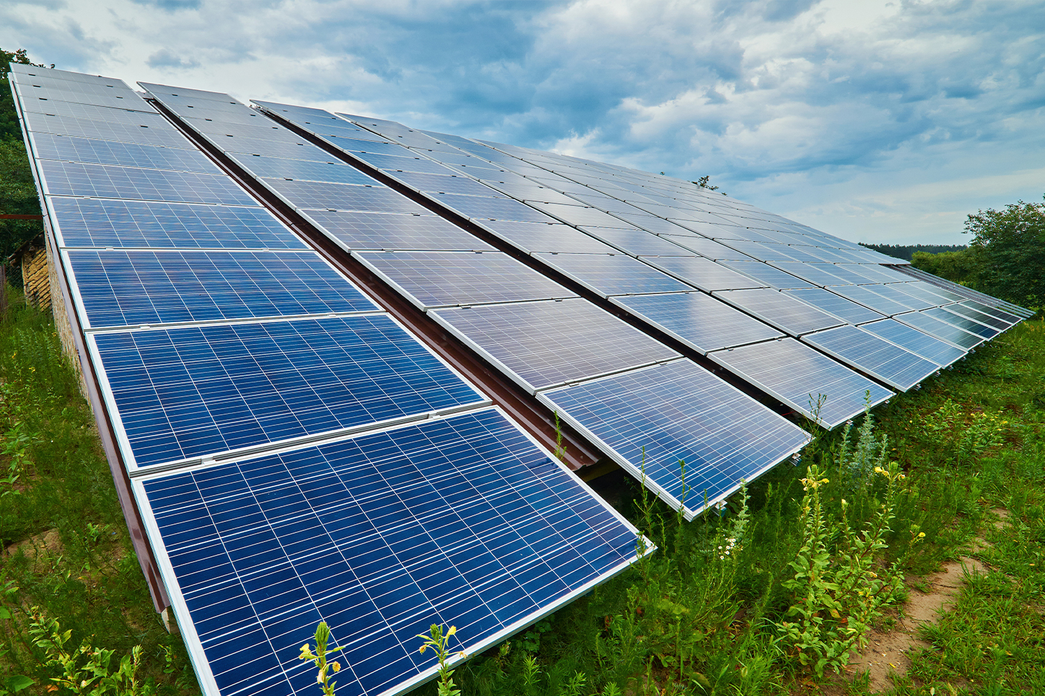 Güneş Panelleri Altında Mahsul Yetiştirmenin Daha Sürdürülebilir Bir Yolu Bulunuyor