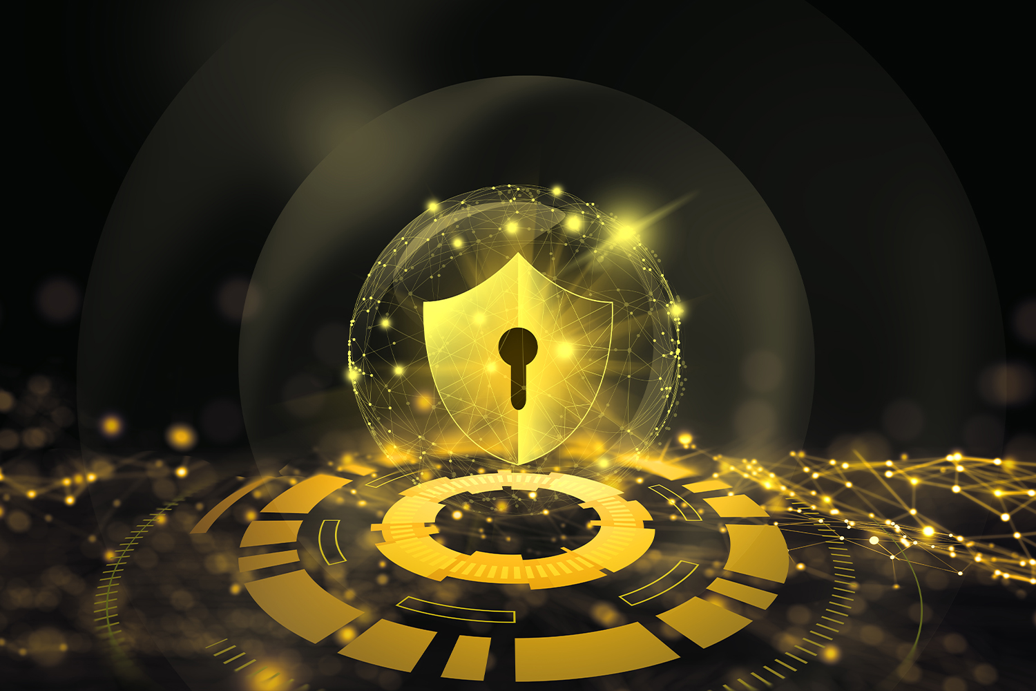 Güvenlik Teknolojileri ve Riskleri