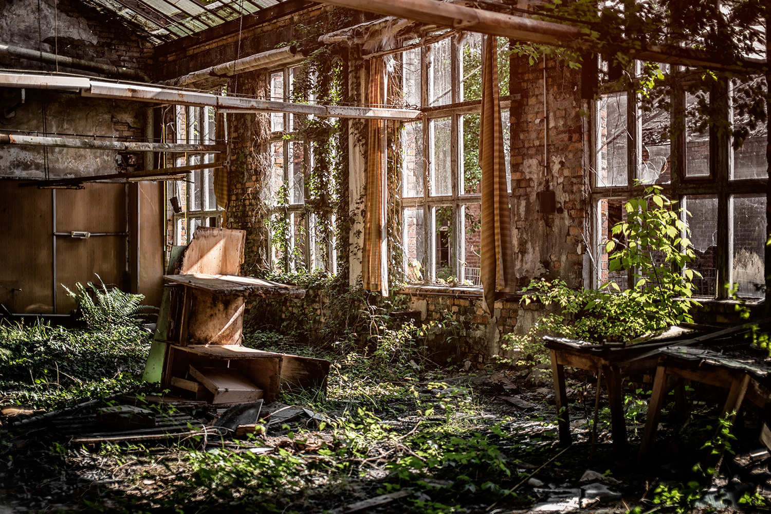 Last Of Us'ın 5. Bölümü HBO Max'te İki Gün Erken Başlayacak