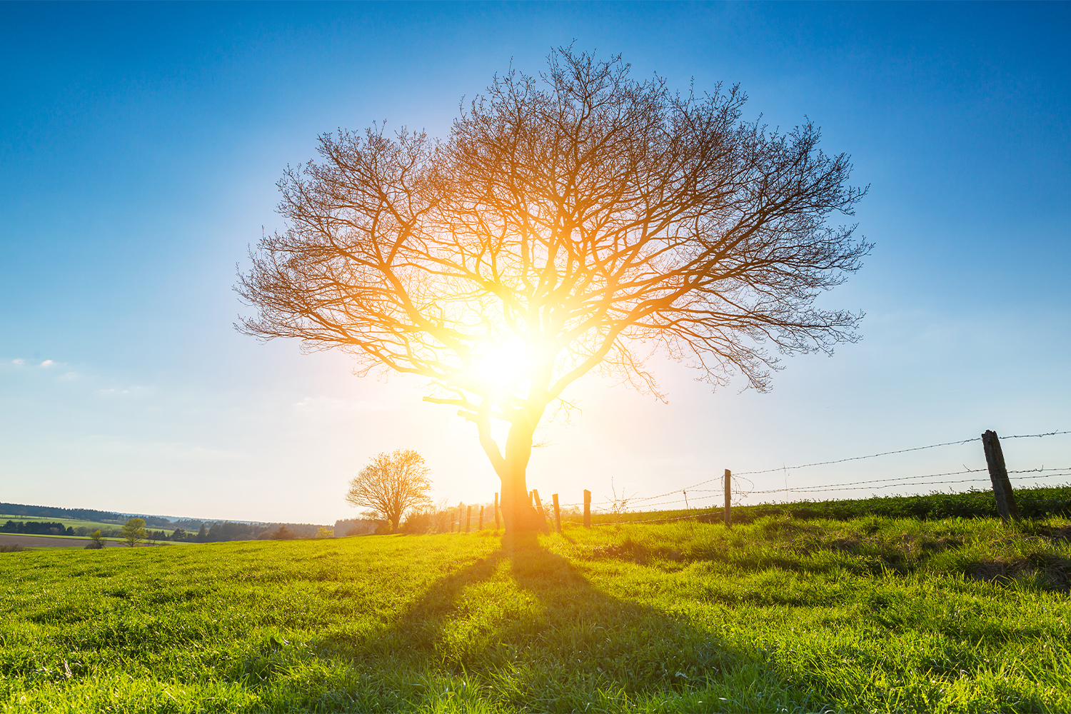 4 Temmuz, Tarihin En Sıcak Günü Rekorunu Kırdı