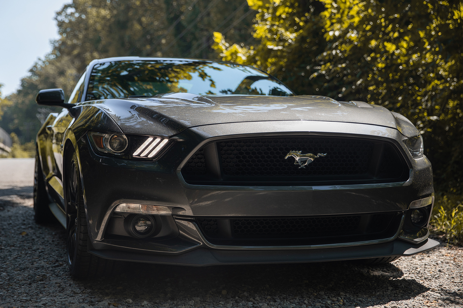 Ford Otonom Sürüş Sistemi Oluşturmak İstiyor