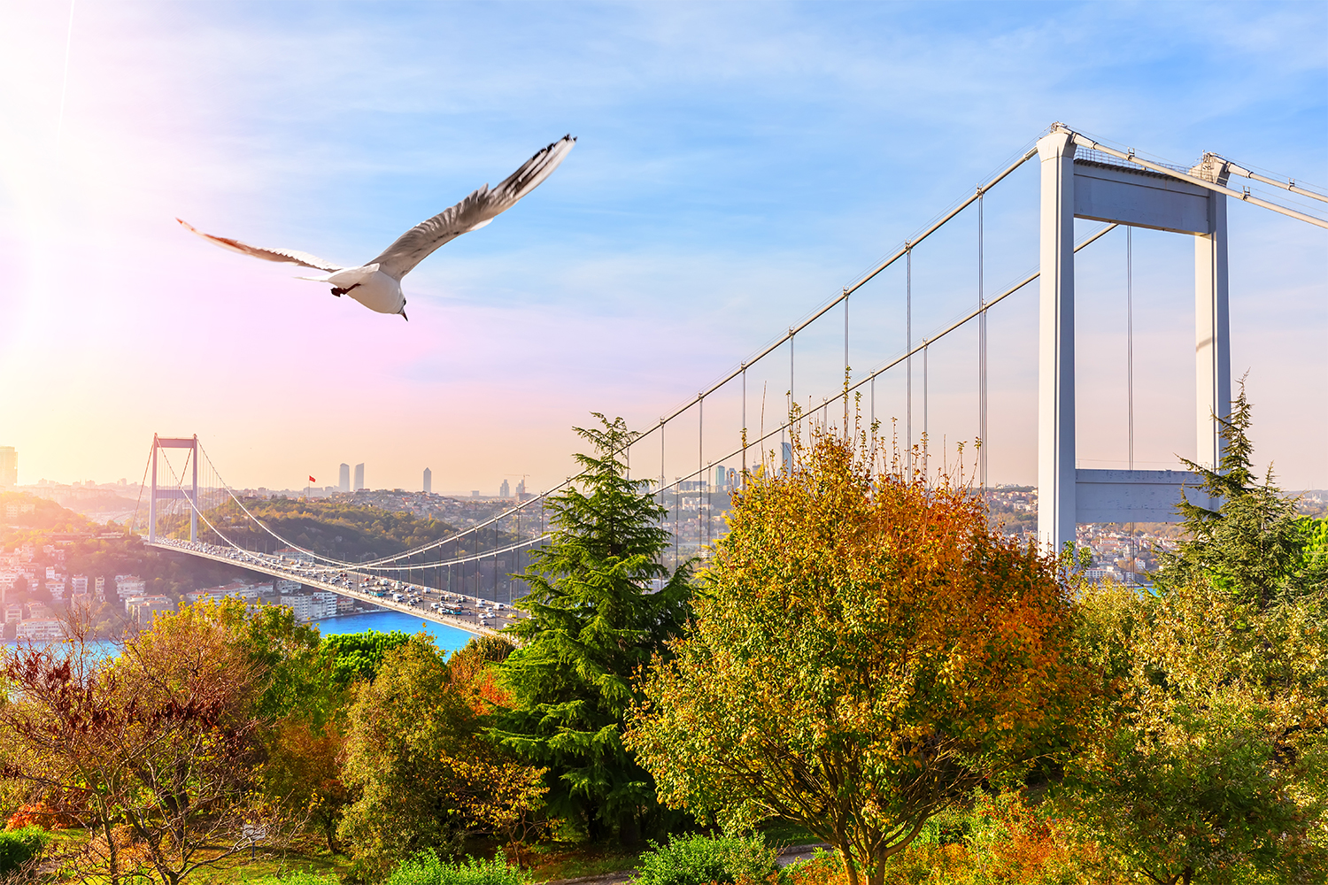 Kentsel Tarım: Beton Ormanlarda Yeşil Alanlar