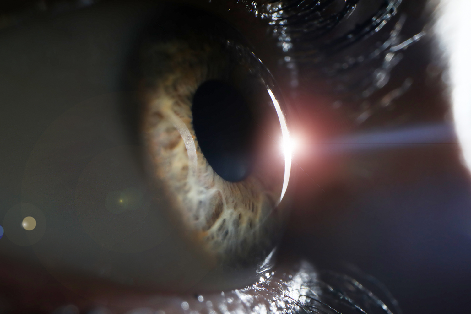 Göz Yansımalarından 3D Ortamların Yeniden Oluşturulması: Geleceğin Teknolojisi Gelişiyor