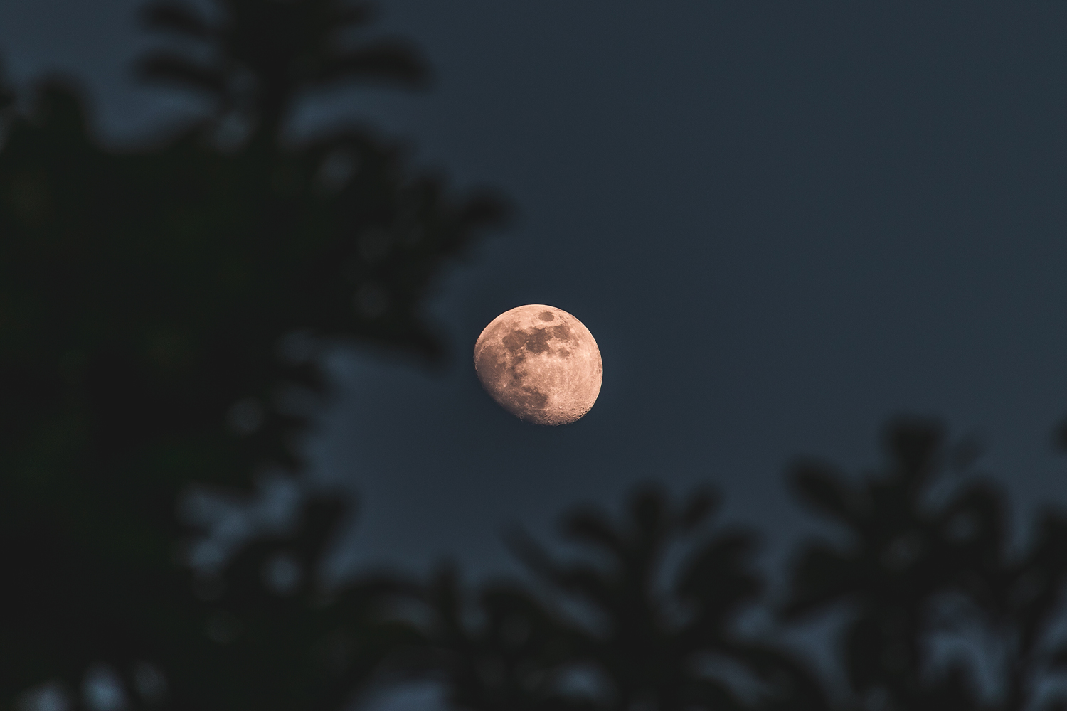 Samsung Ayın Sahte Zoom ile Fotoğrafını Çekebiliyor