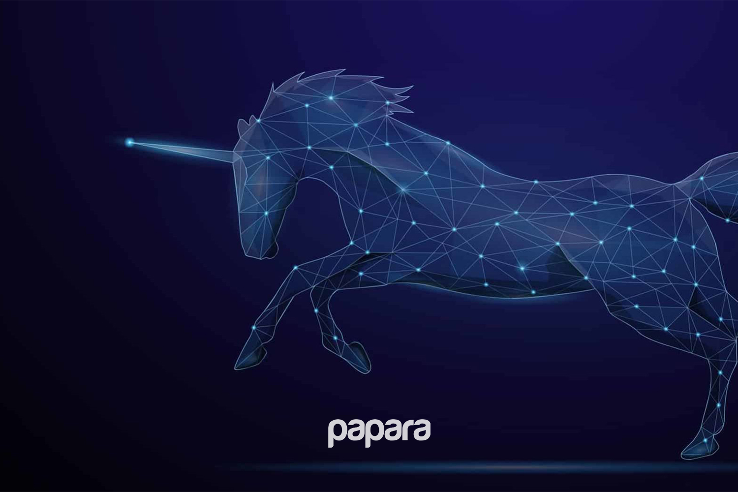 Türkiye’nin Yeni Unicorn'u: Papara