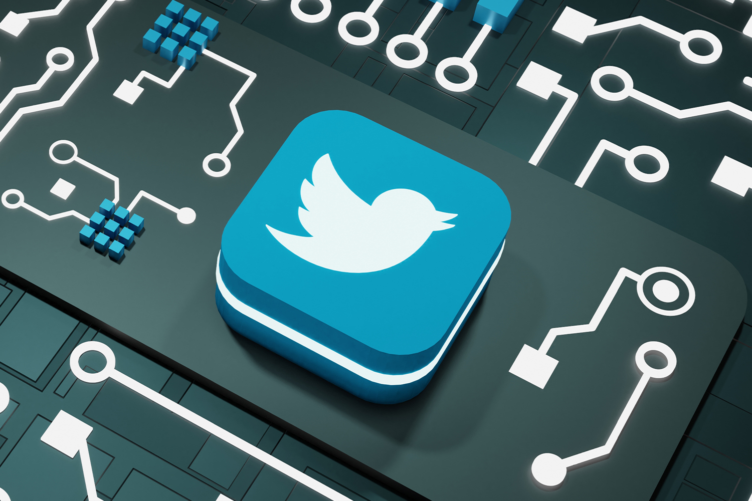 Twitter'ın Açık Kaynak Algoritması Neyi Ortaya Çıkardı?