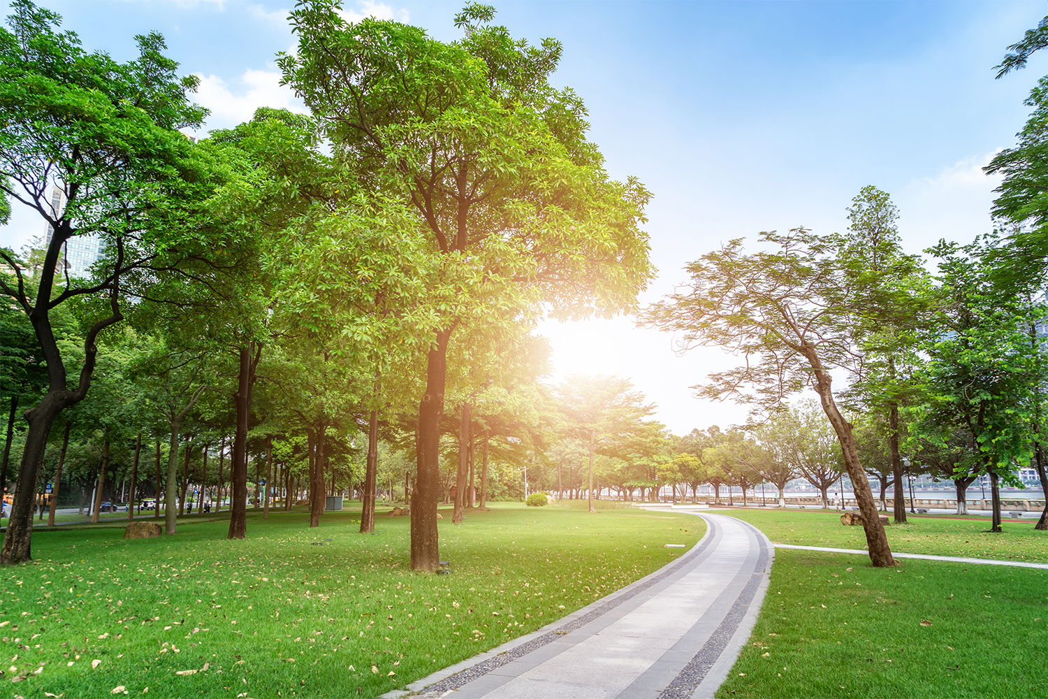 Yeşil Alanların İnsan Psikolojisine Faydaları