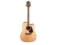 Acoustic Guitars