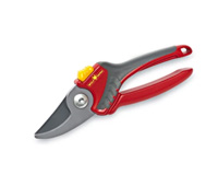 Pruning Shears