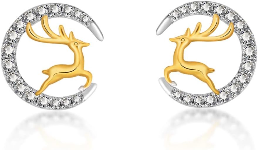 Altın & Gümüş Piercing