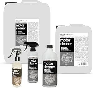 Engine Cleaner