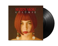 Musical Instrument Accessories