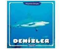 Preschool Education Software