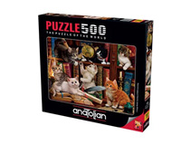 Puzzle & Accessories