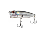 Artificial Bait / Rapala
