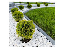 Floor / Surface Coverings