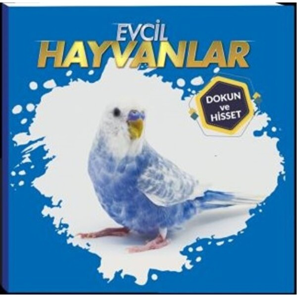 0-6 Yaş Yayınları Evcil Hayvanlar - Dokun ve Hisset Okul Öncesi Eğitici & Öğretici Kitaplar Fiyatı