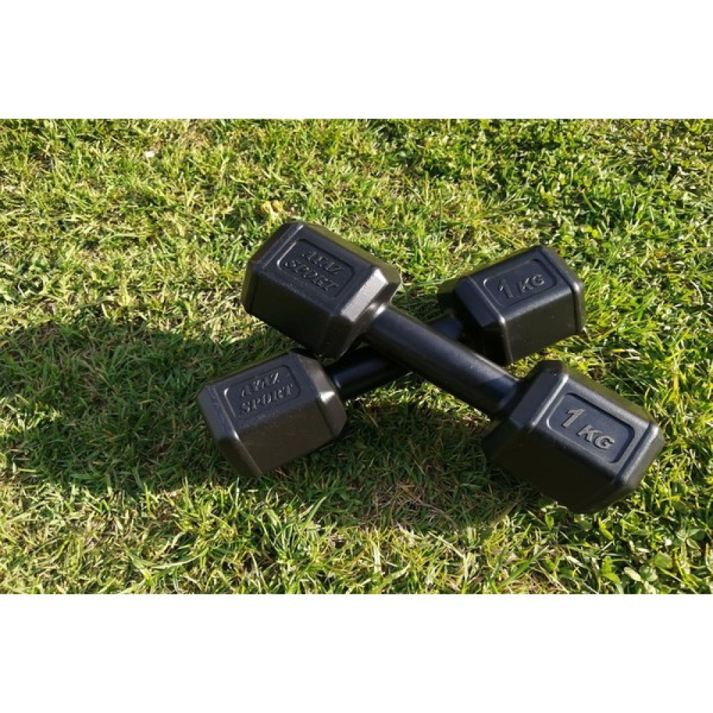 1 kg x 2 Adet Dambıl Vinyl Kaplı Dumbell Ağırlık Siyah Dambıllar & El / Ayak Ağırlıkları Fiyatı