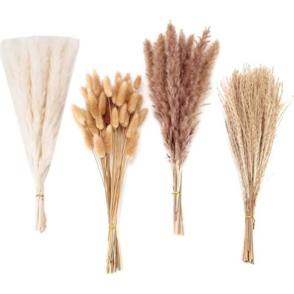 100 Adet Kurutulmuş Pampas Çim Dekor Pampas Çim Tavşan Kuyrukları Kurutulmuş Çiçekler Kamış Çim Buket Düğün Boho Dekor Için (Yurt Dışından) Evcil Hayvan Ürünleri Fiyatı