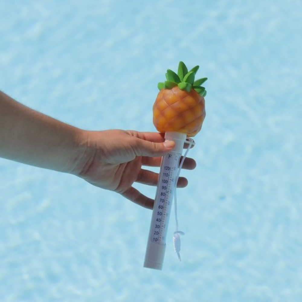 10line Havuz Ananas Modeli Yüzme Havuz Termometresi, Sabitleme Kordonlu Yüzer Ananas Havuz Termometresi Oto Boyaları Fiyatı