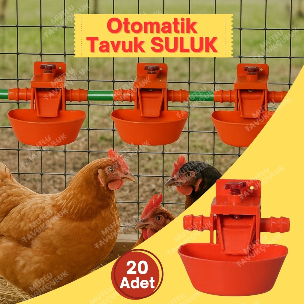 20 Adet Otomatik Suluk Tavuk Suluğu Civciv Güvercin Bıldırcın Sülün Muhabbet Kuşu Keklik Ördek Hindi - Beyaz - Kırmızı Evcil Hayvan Ürünleri Fiyatı
