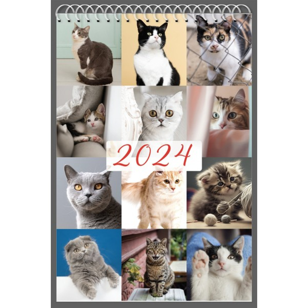 2024 Duvar Takvimi Kedi (Cat) 33X47 cm Takvim Fiyatı