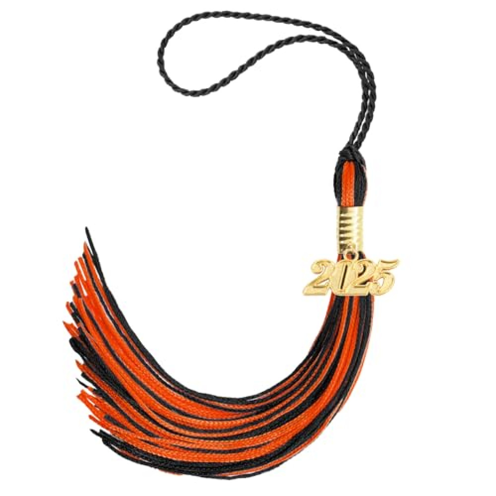 2025 Tassel Graduation, Graduation Tassel 2025, Graduation Cap Tassels with Gold 2025 Charm for Graduation Cap Graduation Party Ceremonies Black and Orange