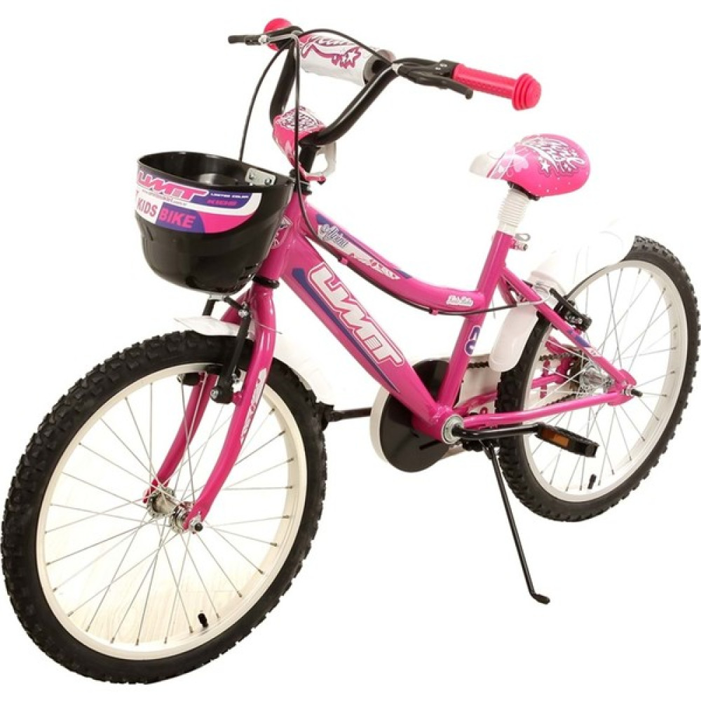 2047-2 20 Alpına Bmx Kız Bisiklet (Pembe) Çocuk Bisikletleri Fiyatı