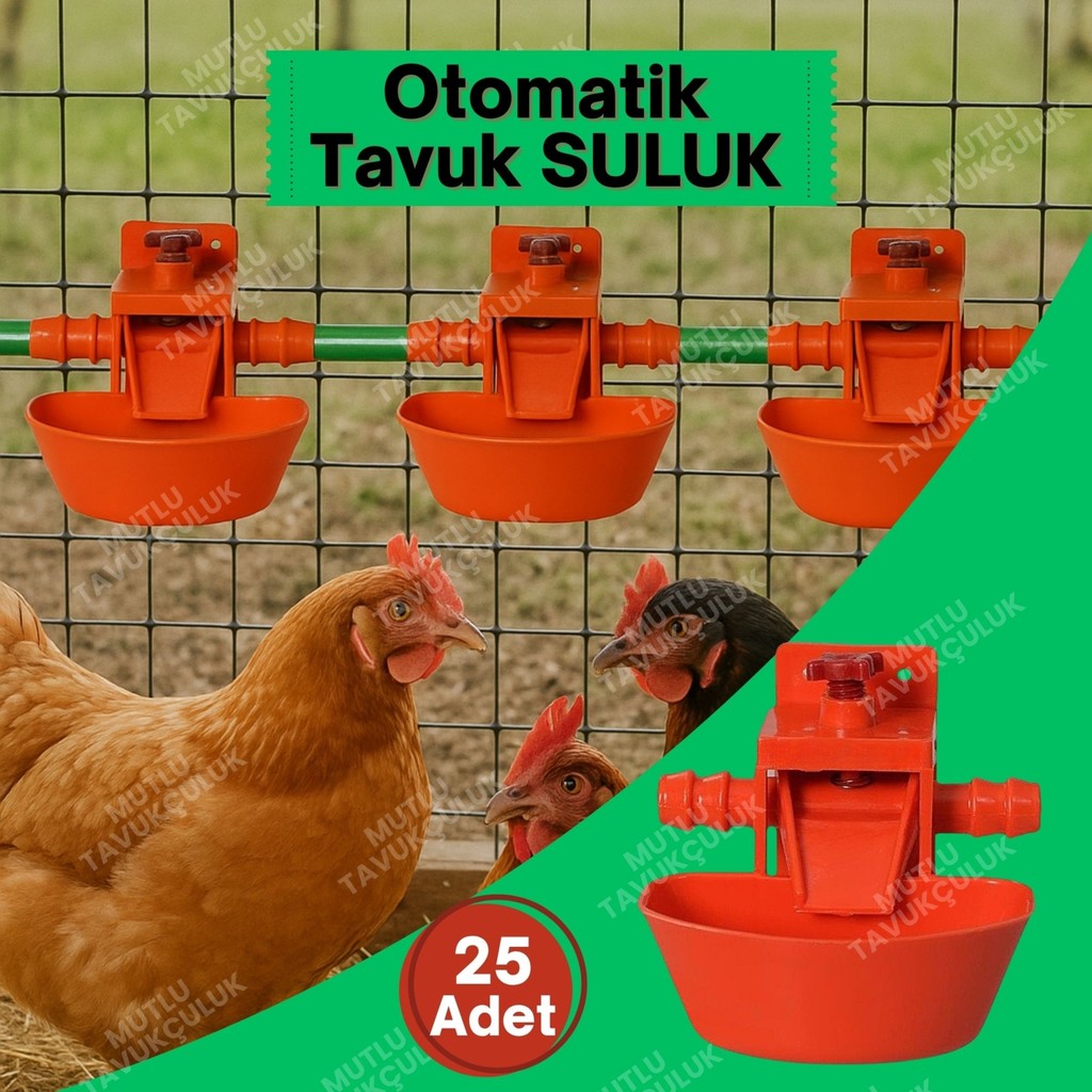 25 Adet Otomatik Suluk Tavuk Suluğu Civciv Güvercin Bıldırcın Sülün Muhabbet Kuşu Keklik Ördek Hindi - Beyaz - Kırmızı Evcil Hayvan Ürünleri Fiyatı