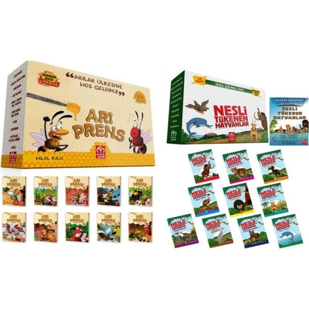 2.sınıf 2 Adet 10'lu Hikaye Seti + Değerlendirme Kitapları Çocuk Masal Fiyatı