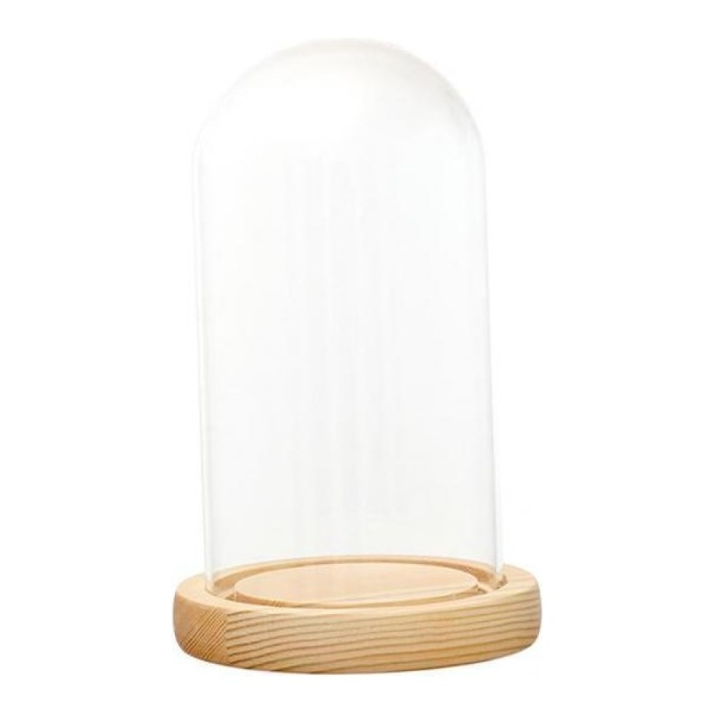 2x Temizle Cam Ekran Dome LED Ahşap Tabanlı Microlandscape Tutucu Ile 9X12 cm - Şeffaf Vazo Fiyatı