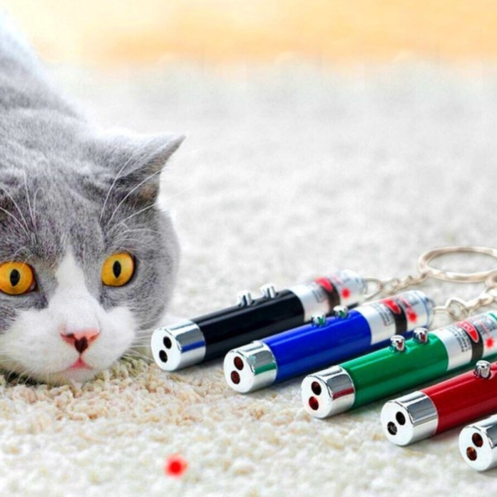 3 Fonksiyonlu Kırmızı Beyaz Işıklı Led Lazer Kedi Köpek Oyuncak Anahtarlık Led Aydınlatmalar Fiyatı