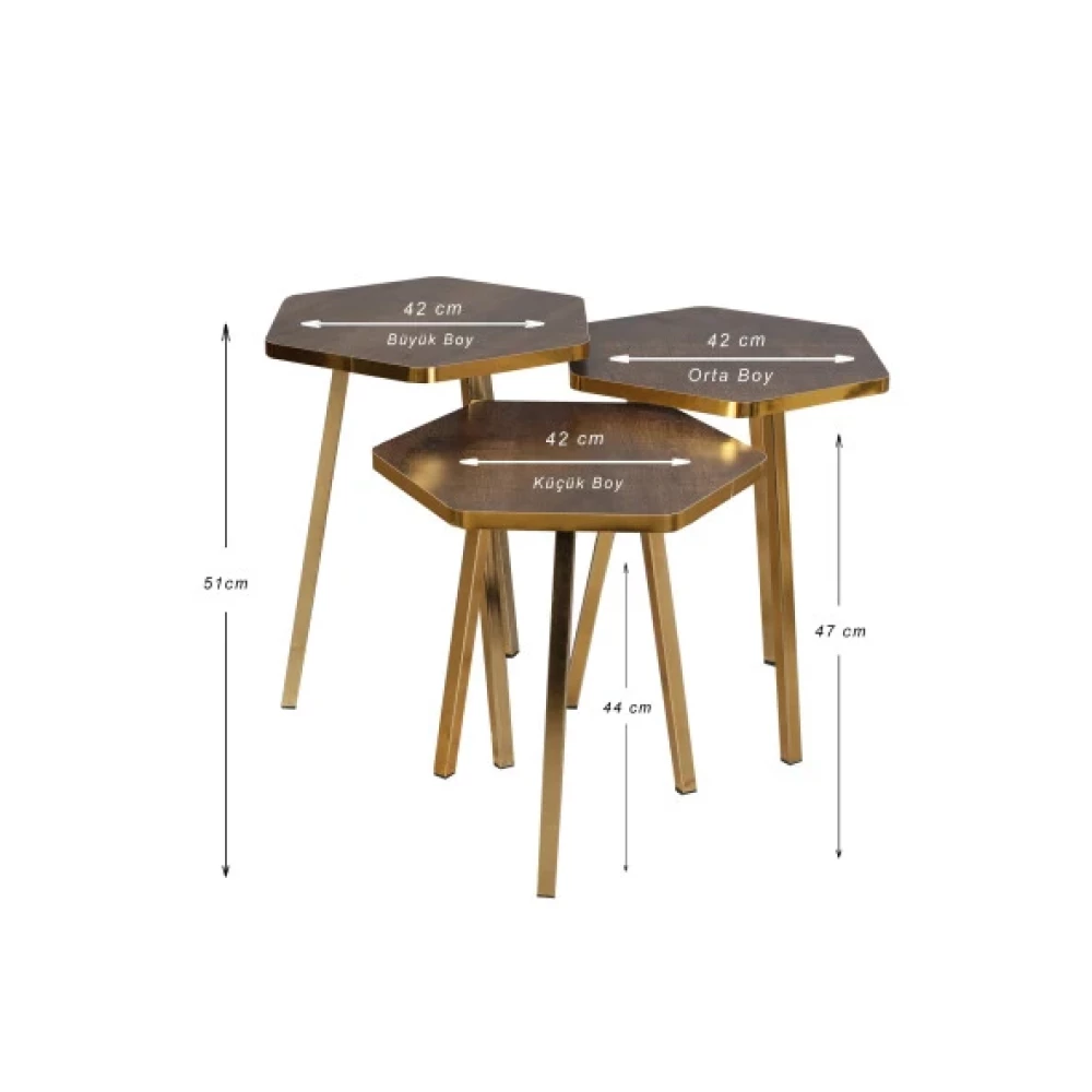 3 Lu Zıgon Sehpa Vionessa Furniture Hexagon Coffe Table Metal P20 Legs Cove Gold Afzel Mobilya & Dekorasyon Fiyatı