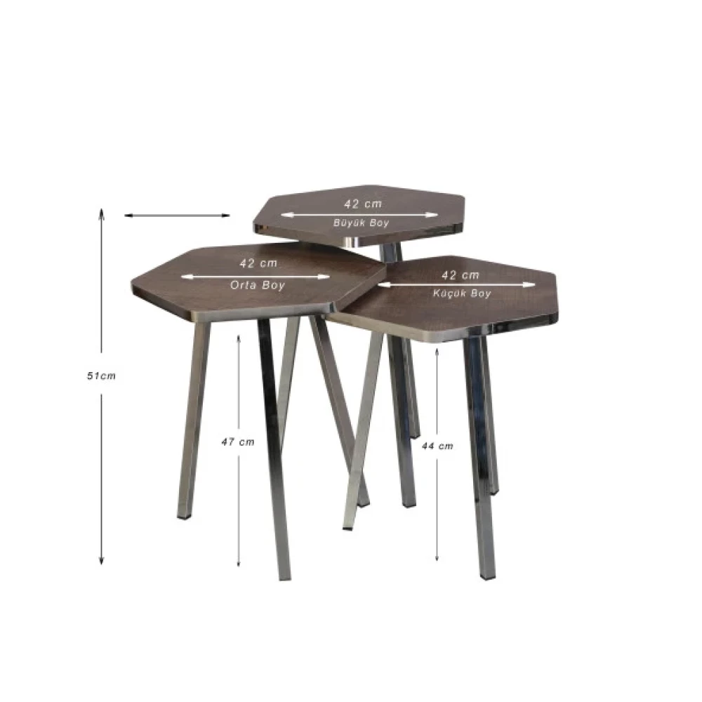 3 Lu Zıgon Sehpa Vionessa Furniture Hexagon Coffe Table Metal P20 Legs Cove Sılver Afz Mobilya & Dekorasyon Fiyatı
