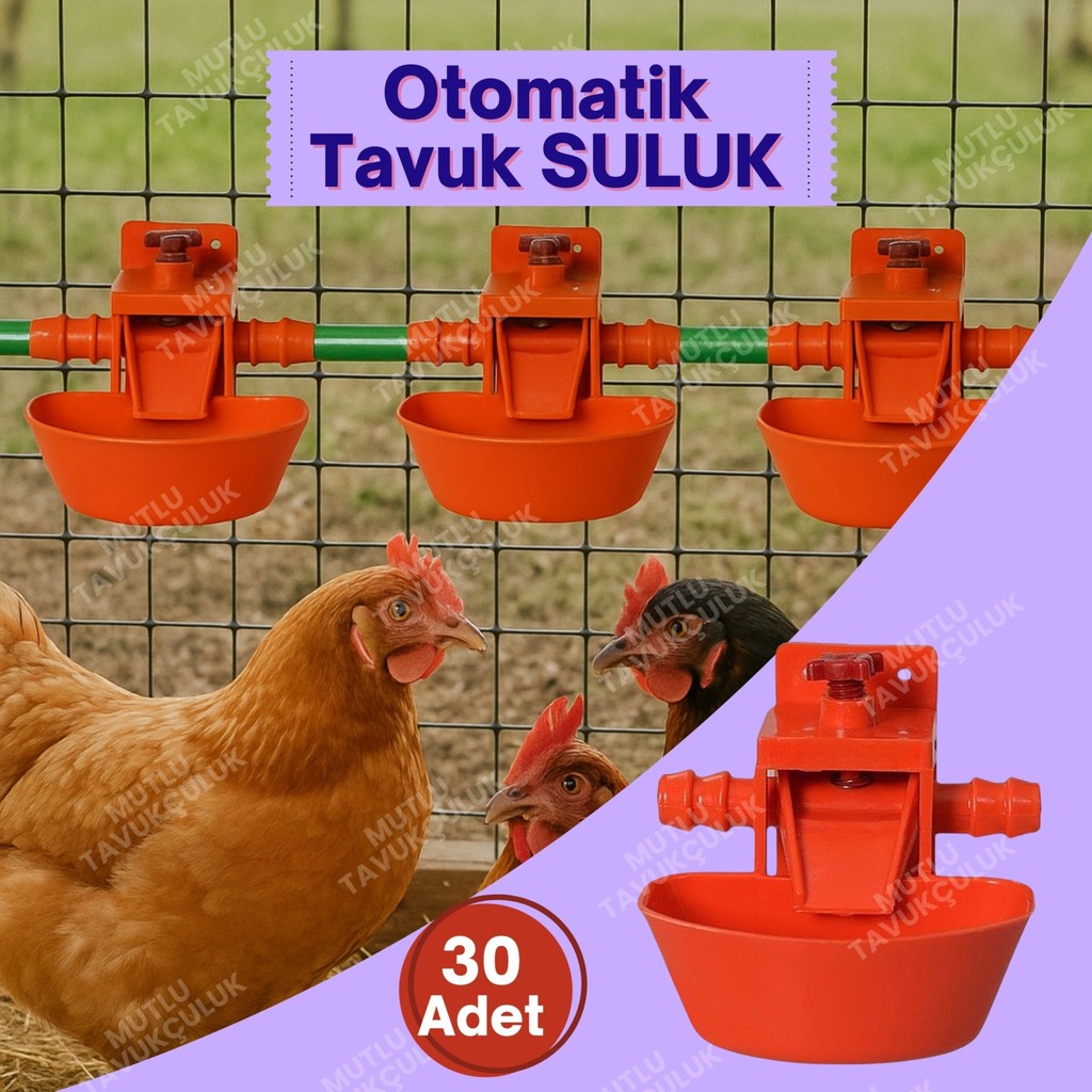 30 Adet Otomatik Akıllı Tavuk Civciv Suluğu Suluk Kaz Civcivi Papağan Muhabbet Kuşu Hindi Sülün - Beyaz - Kırmızı Evcil Hayvan Ürünleri Fiyatı