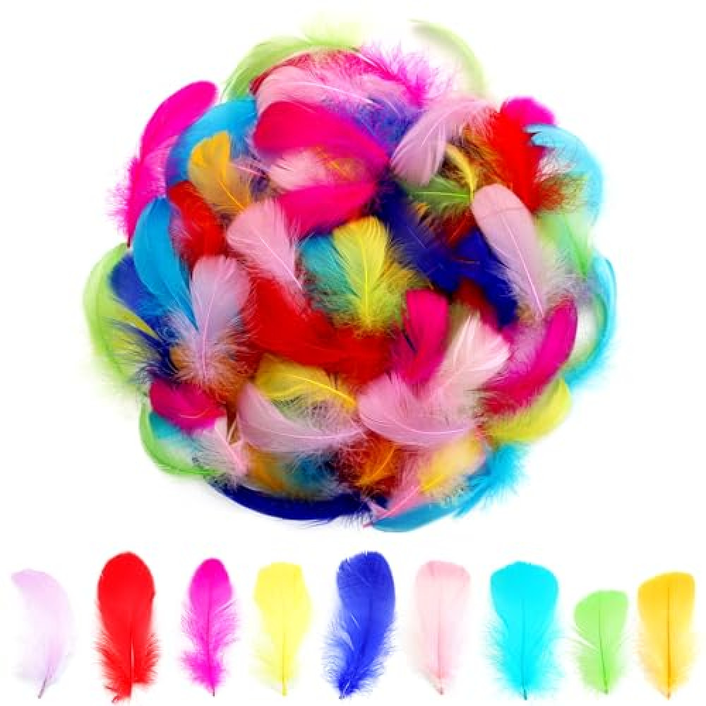 300pcs Colorful Feathers 2-3 Inches Bulk Feathers for Crafting, Dream Catcher Accessories, Art Projects, DIY Crafting, Handi Crafts, Party Decoration (Colorful)