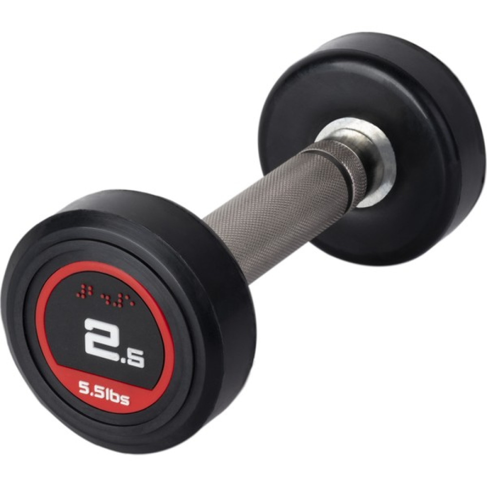 313 Spor 2,5 kg Olimpik Dambıl (Kauçuk Kaplı) - 1 Adet Dambıllar & El / Ayak Ağırlıkları Fiyatı