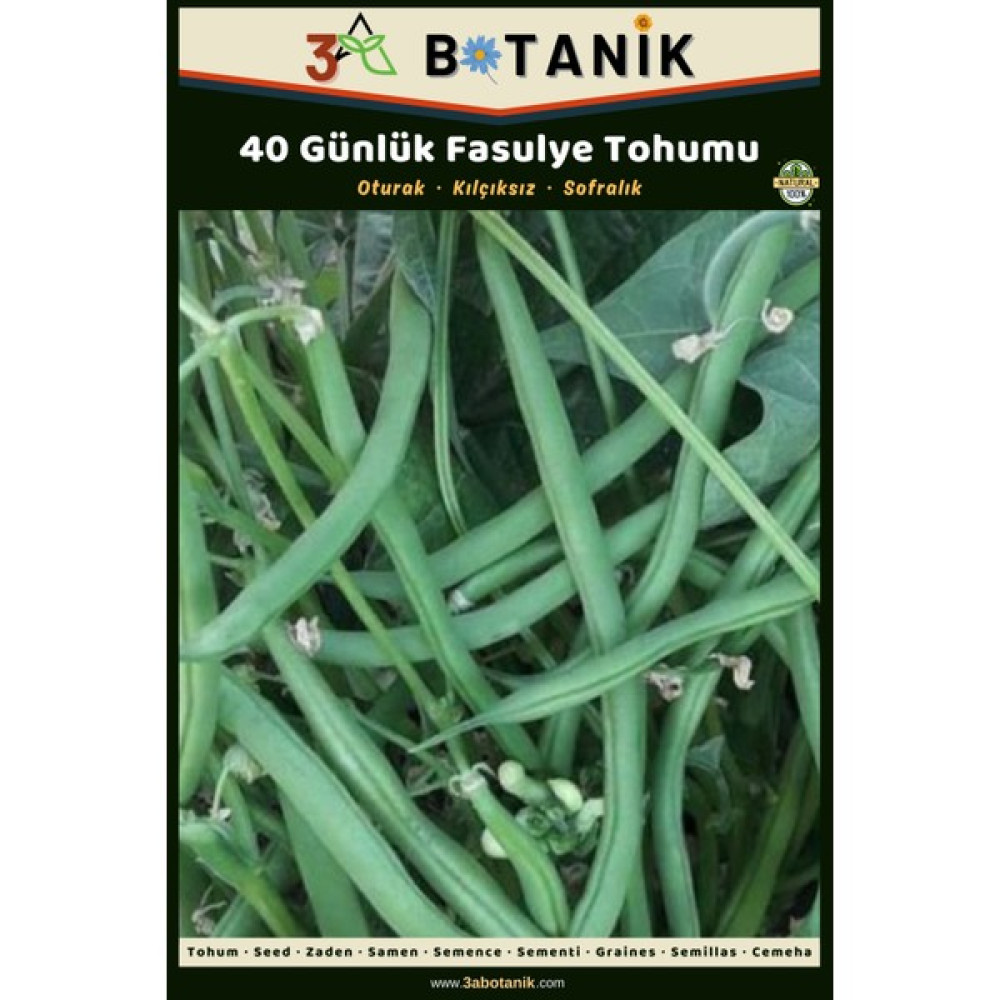 3A Botanik 40 Günlük Oturak Fasulye Tohumu, Yerli ve Sürdürülebilir Tohum, 10 Gram Fasulye Tohumu - 10 gr Tohum Fiyatı