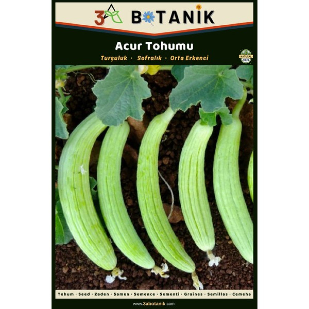 3A Botanik Acur Tohumu, Yerli ve Sürdürülebilir Tohum, 5 Gram Acur Tohumu - 5 gr Tohum Fiyatı