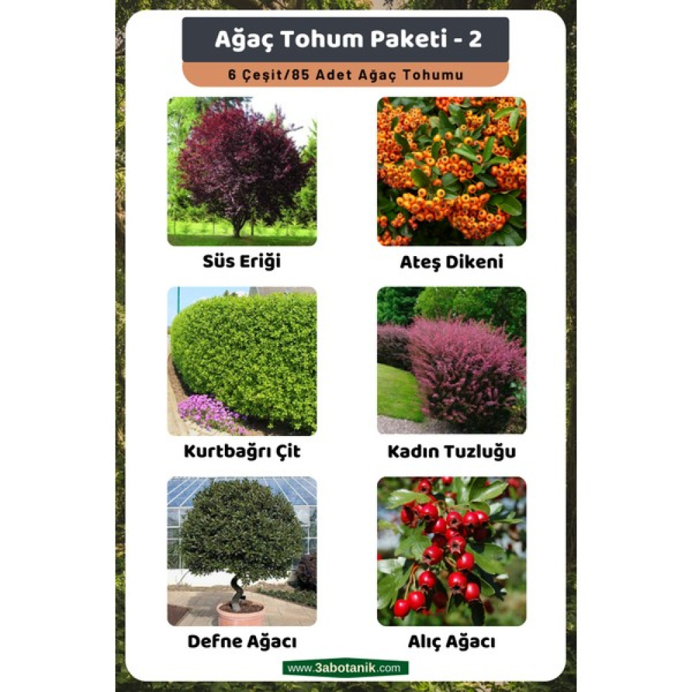 3A Botanik Ağaç Tohum Paketi-2, (Süs Eriği, Ateş Dikeni, Kurtbağrı, Kadın Tuzluğu, Defne, Alıç) Ağaç Tohumları - 85 Adet Tohum Fiyatı