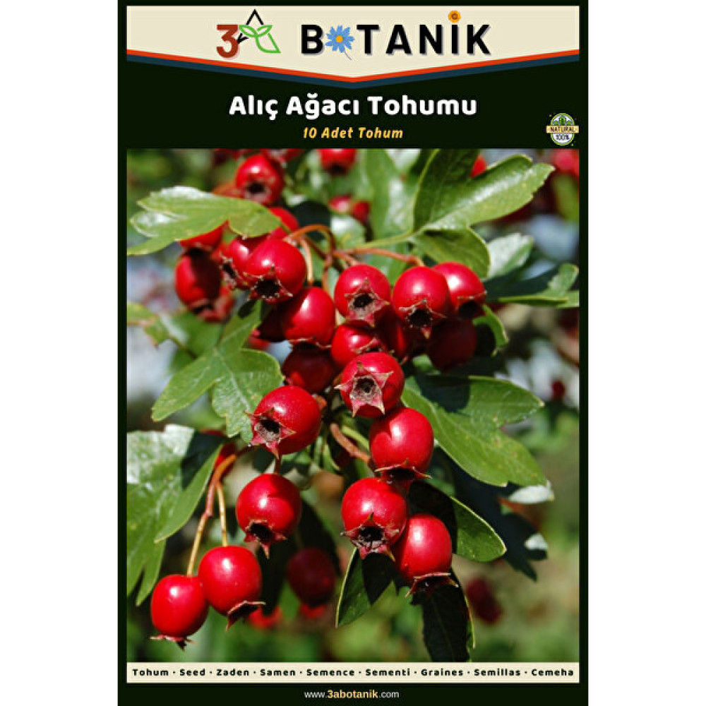 3A Botanik Alıç Ağacı Tohumu, 10 Adet Tohum Tohum Fiyatı