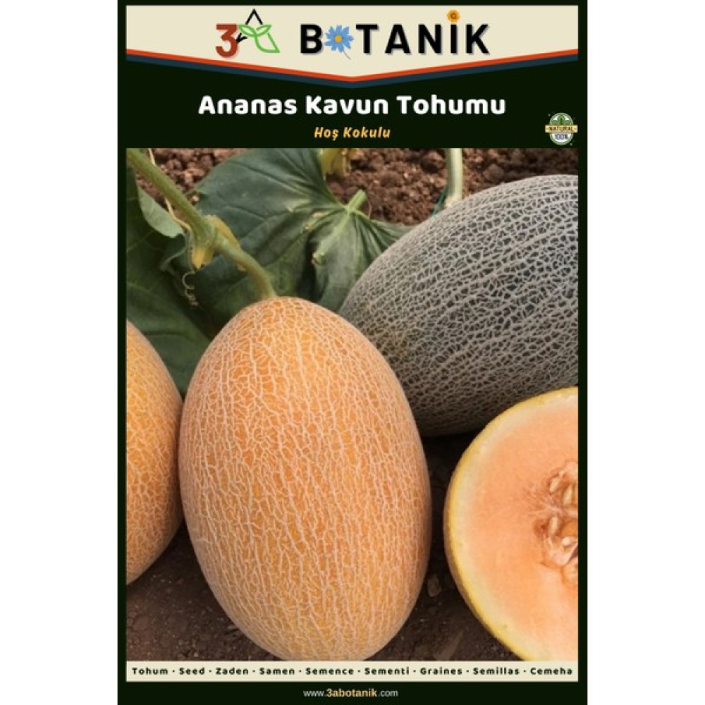 3A Botanik Ananas Kavun Tohumu, Yerli ve Sürdürülebilir Tohum, 5 Gram Kavun Tohumu - 5 gr Tohum Fiyatı