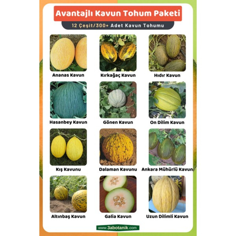 3A Botanik Avantajlı Kavun Tohum Paketi, 12 Çeşit Kavun Tohumu, Takribi 300 Adet Kavun Tohumu - 1 Adet Tohum Fiyatı